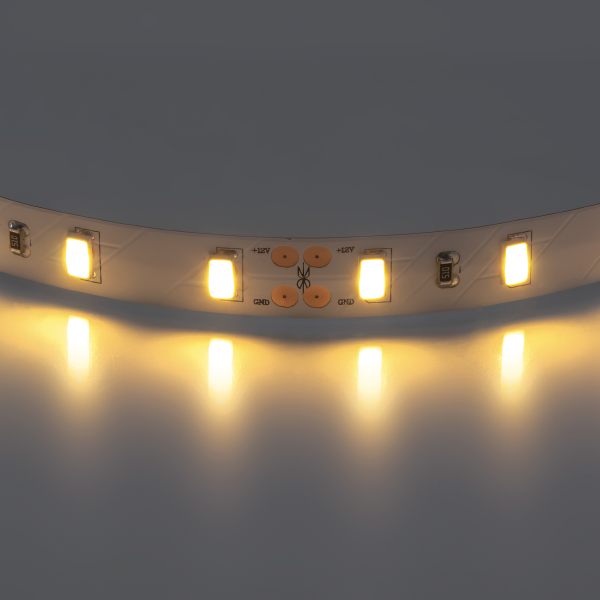 LED лента Lightstar Lenta 400072