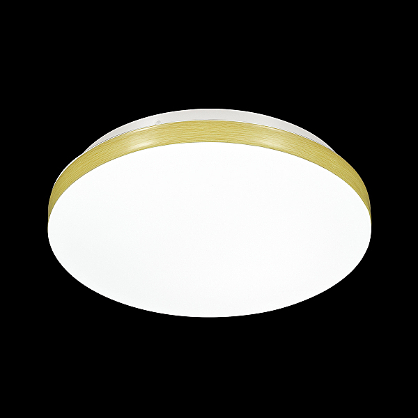 Настенно потолочный светильник Sonex Smalli 3066/CL