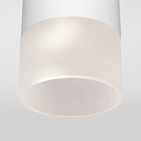 Уличный потолочный светильник Elektrostandard Light LED Light LED 2106 (35139/H) белый