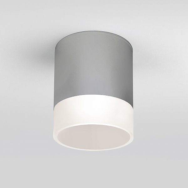 Уличный потолочный светильник Elektrostandard Light LED Light LED 2107 (35140/H) серый