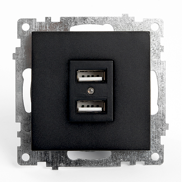 Розетка USB 2-местная (механизм) Stekker Катрин 39616