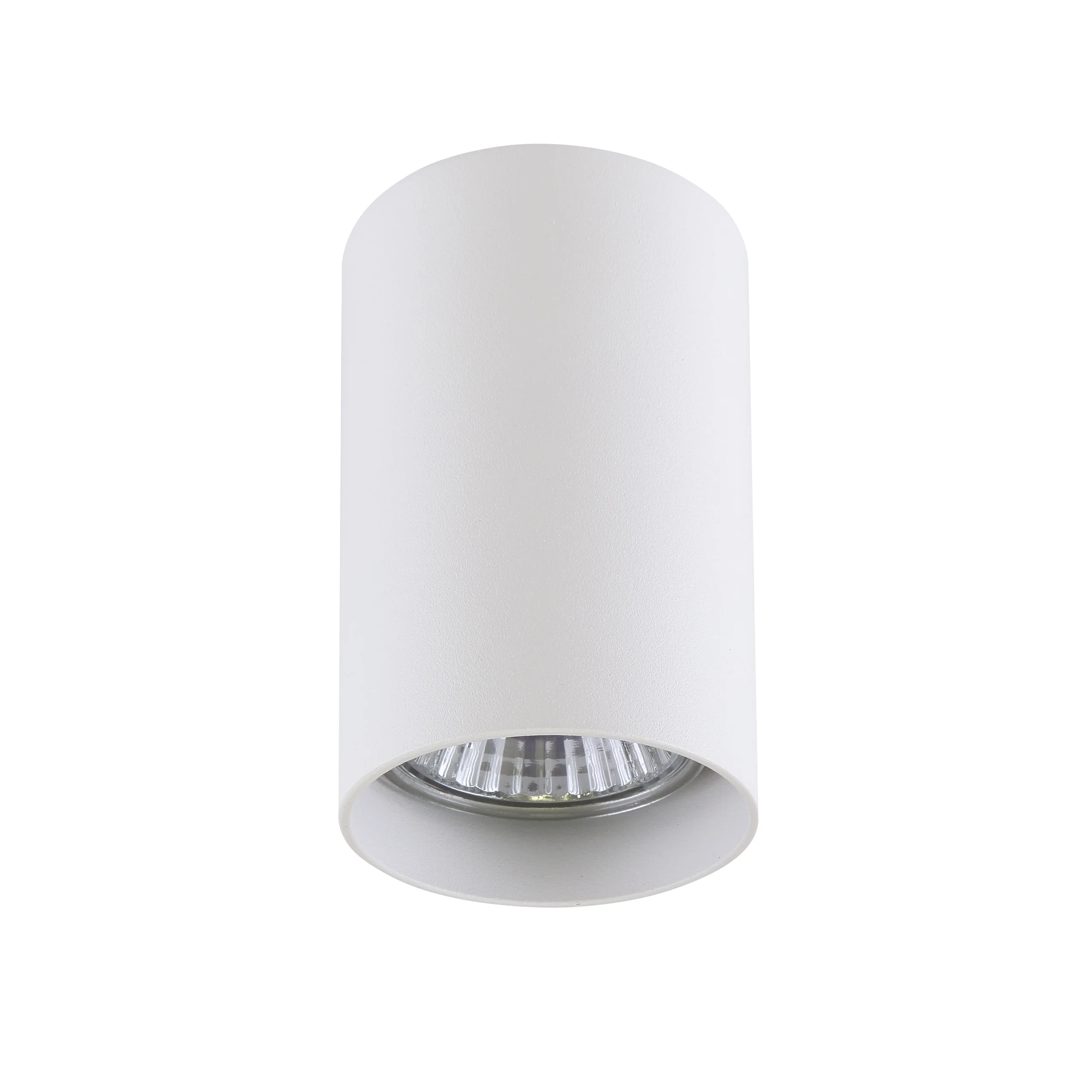 Накладной светильник Lightstar Rullo 214436
