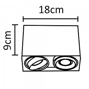 Накладной светильник Arte Lamp Pictor A5655PL-2BK