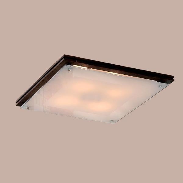 Настенно потолочный светильник Citilux Венге+Белый CL938541