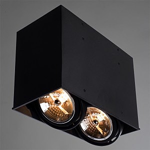 Светильник потолочный Arte Lamp A5936PL-2BK