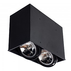 Светильник потолочный Arte Lamp A5936PL-2BK