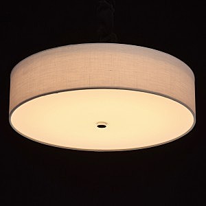 Потолочный LED светильник MW Light Дафна 453011501