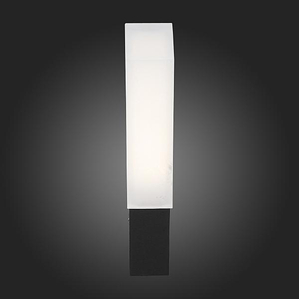 Уличный LED настенный светильник ST Luce Posto SL096.411.02