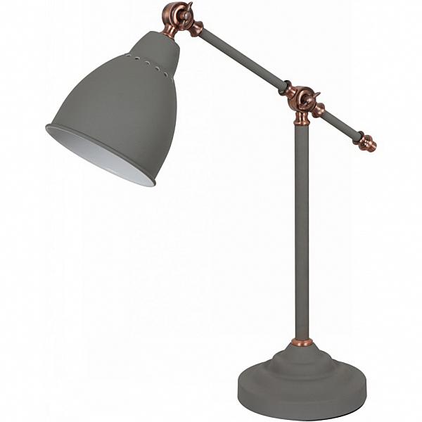 Офисная настольная лампа Arte Lamp Braccio A2054LT-1GY