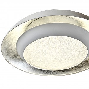 Потолочный LED светильник Favourite Spiegel 2115-2C