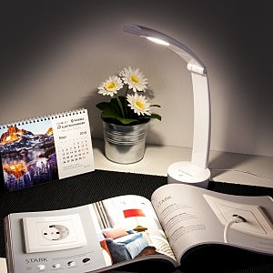 Настольная лампа Eurosvet Rizar Rizar белый (TL90500) 5W