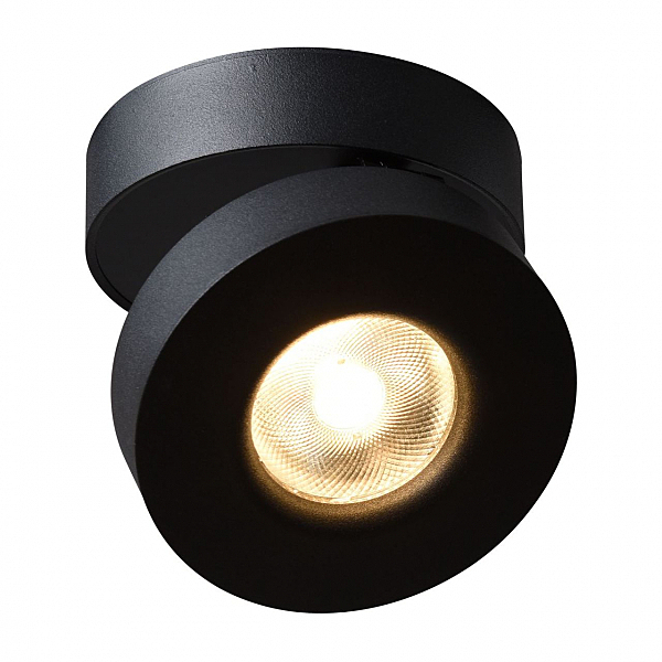 Накладной светильник Arte Lamp Vela A2511PL-1BK