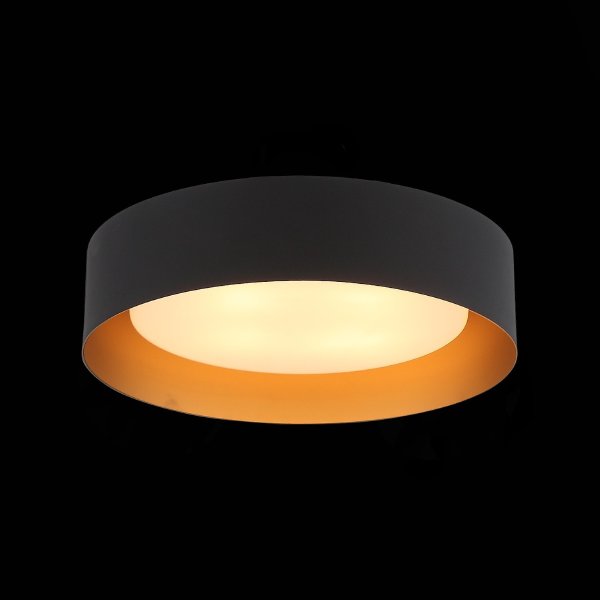 Светильник потолочный ST Luce Chio SL392.422.04