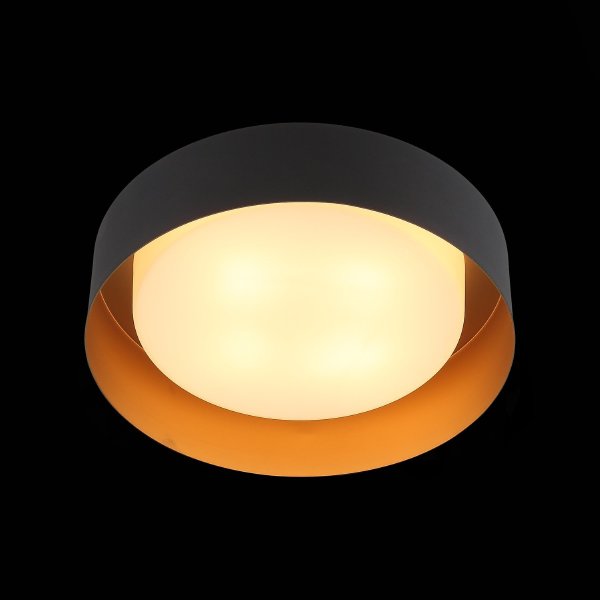 Светильник потолочный ST Luce Chio SL392.422.04