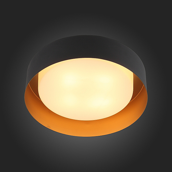 Светильник потолочный ST Luce Chio SL392.422.04