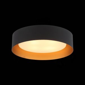 Светильник потолочный ST Luce Chio SL392.422.04