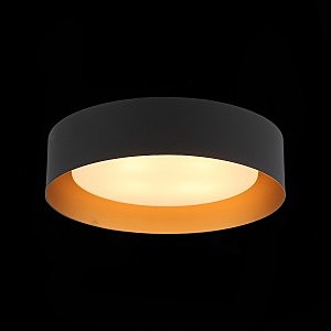 Светильник потолочный ST Luce Chio SL392.422.04