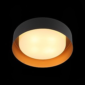 Светильник потолочный ST Luce Chio SL392.422.04