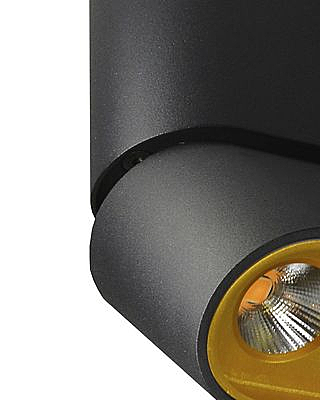 Накладной светильник Lumien Hall Фергус 8005/3CS-BK-GD