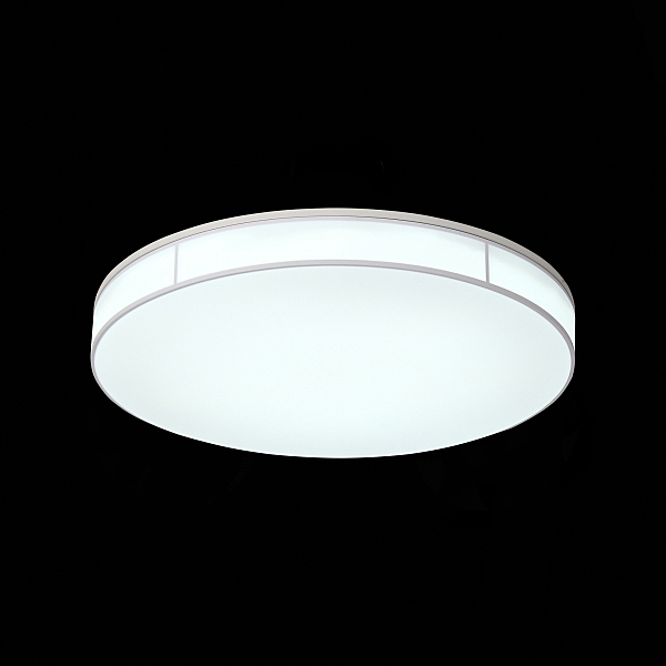 Потолочный LED светильник ST Luce Fella SL417.512.01