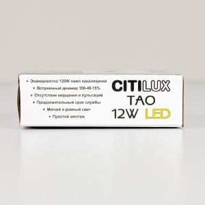 Потолочный светодиодный светильник Citilux Тао CL712X120N