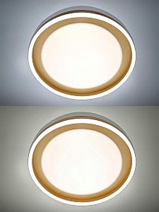 Потолочный LED светильник Natali Kovaltseva Led Lamps LED LAMPS 81301