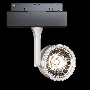 Трековый светильник Maytoni Track Lamps TR024-2-10W4K