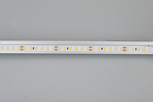 LED лента Arlight RT открытая 024971