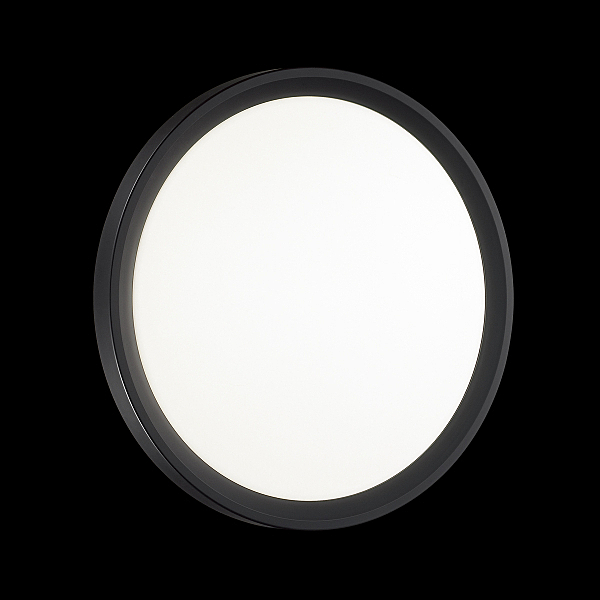 Настенно потолочный светильник Sonex Tasta 3065/18L