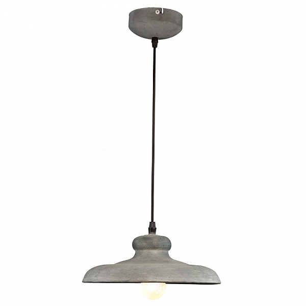 Светильник подвесной Arte Lamp Loft A5025SP-1BG