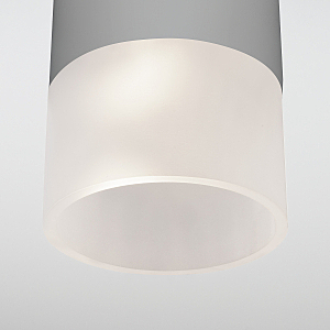 Уличный потолочный светильник Elektrostandard Light LED Light LED 2106 (35139/H) серый