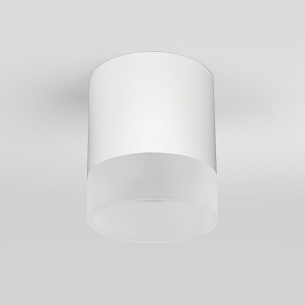 Уличный потолочный светильник Elektrostandard Light LED Light LED 2107 (35140/H) белый