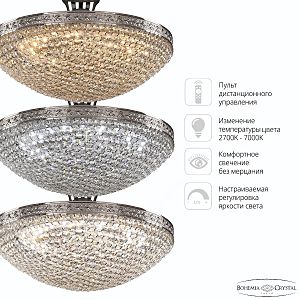 Потолочная люстра Bohemia 1932 19321/45IV/LED-DIM Ni