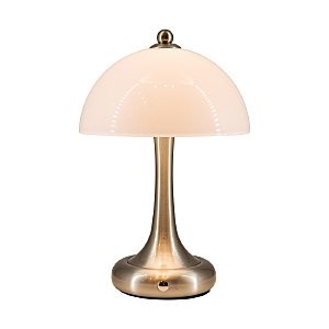Настольная лампа L'Arte Luce Luxury Tecazo L64931.81