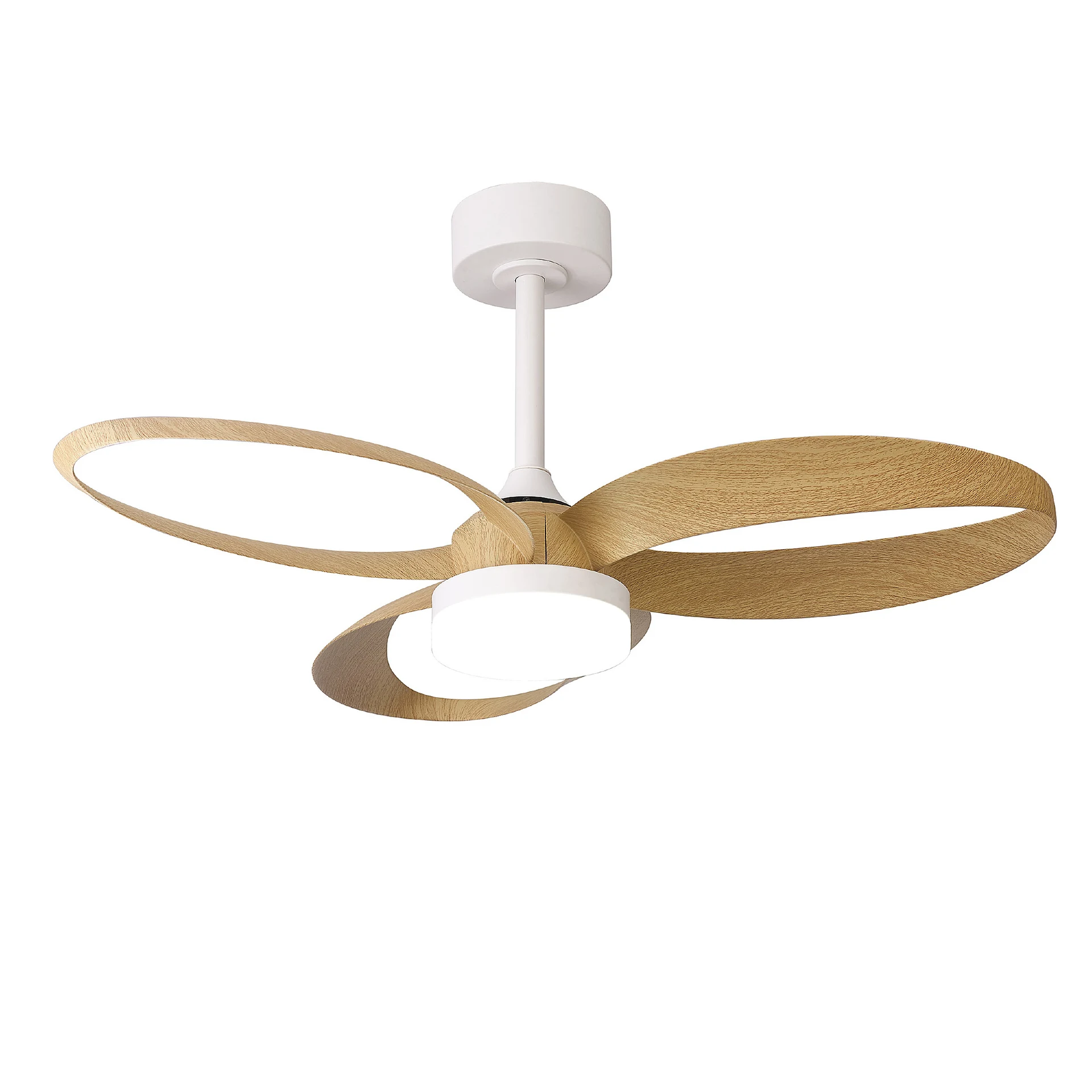 Infinity Fan