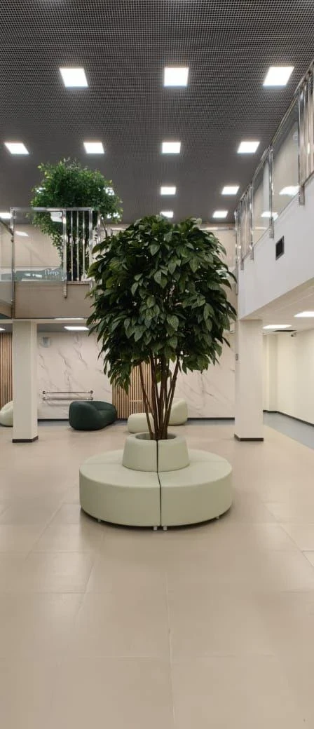 Школа в Выборгском районе