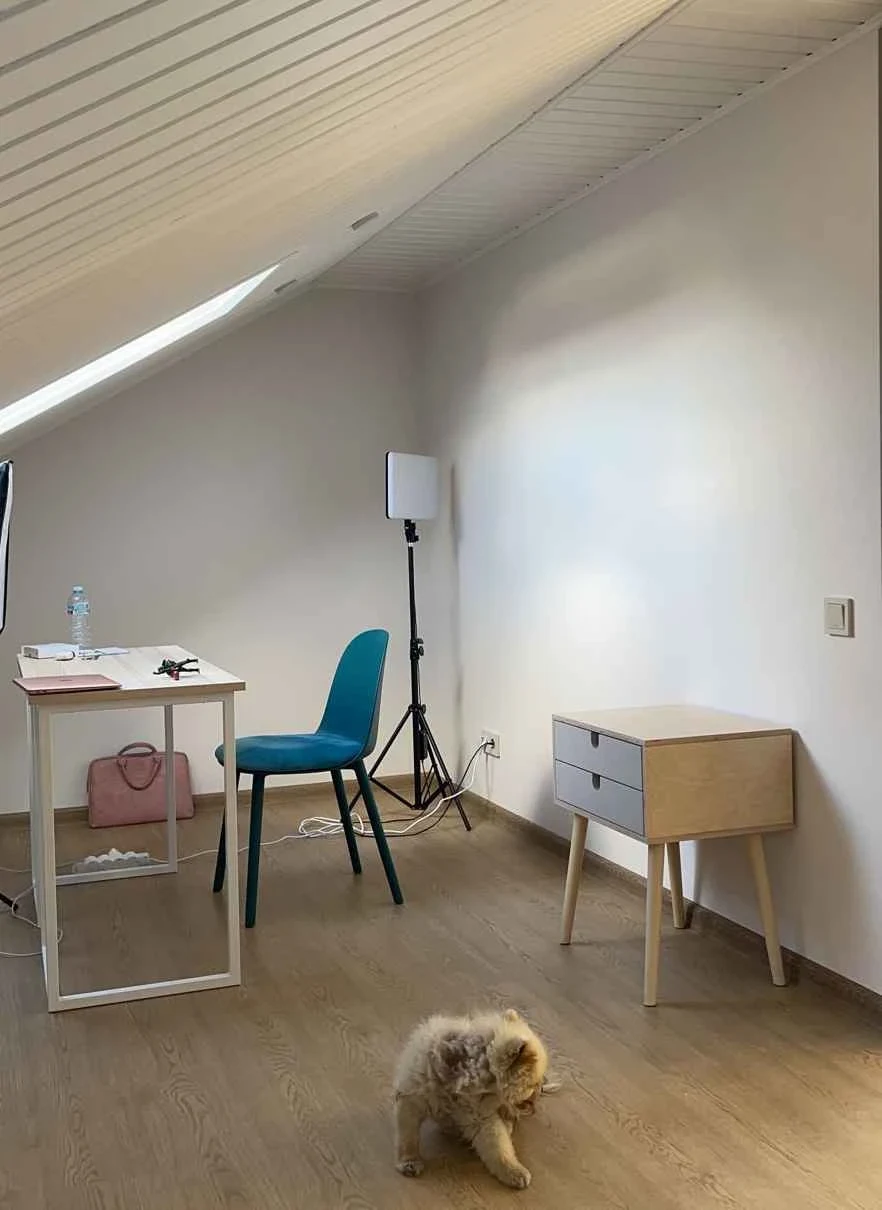 Дуплекс в Московской области для предпринимателя и блогера