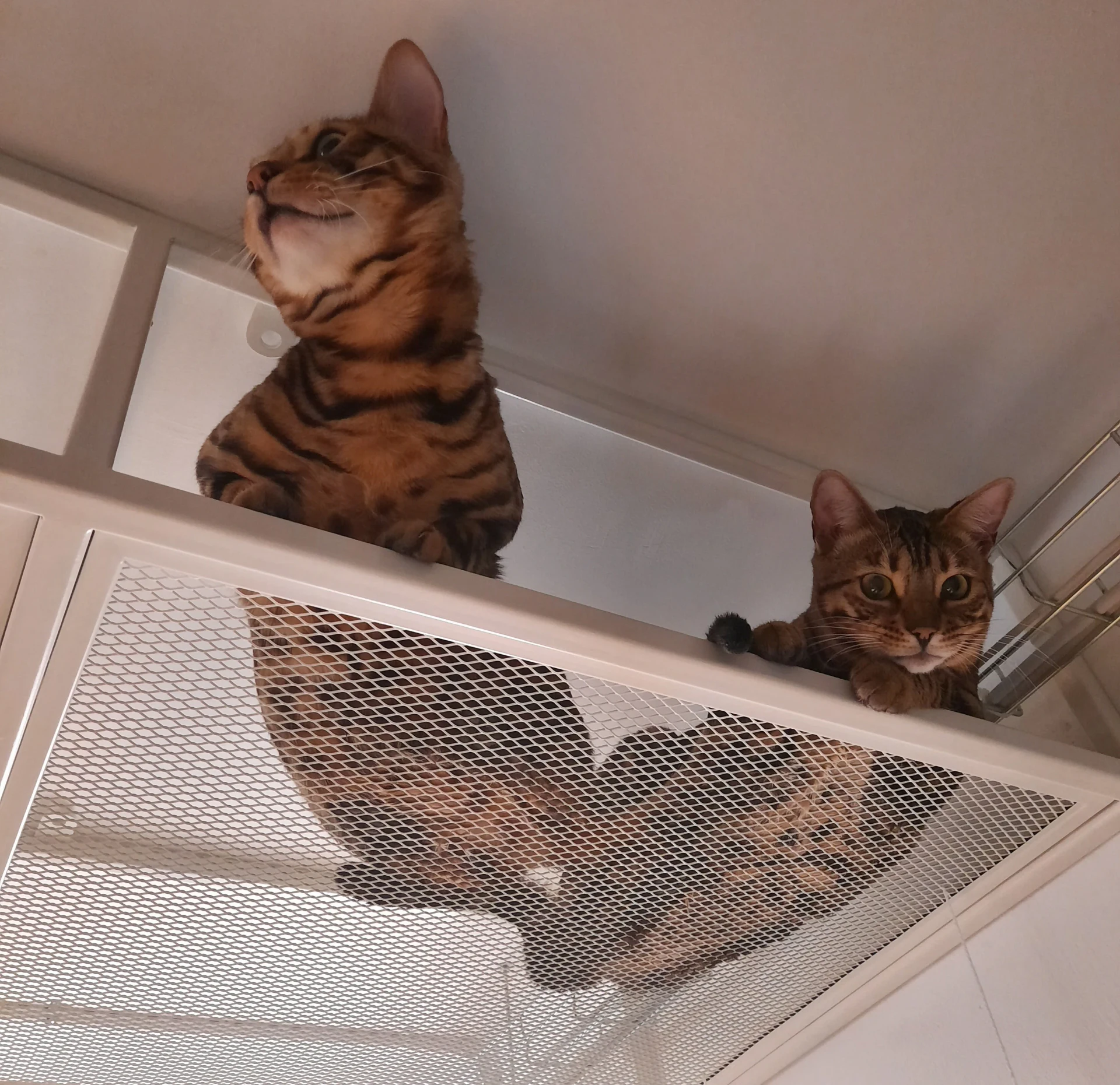 Квартира в индустриальном стиле