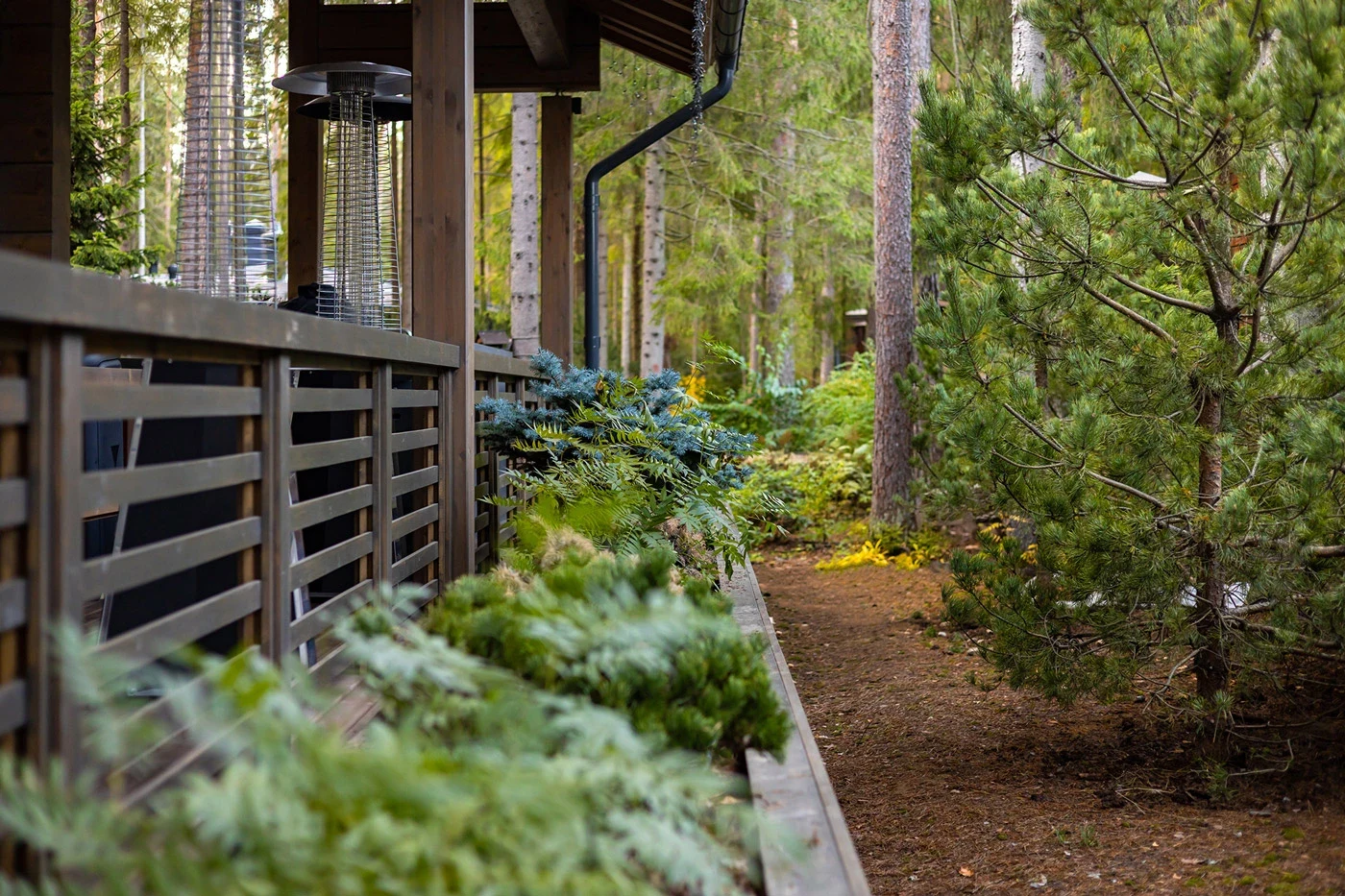 Усадьба в Репино