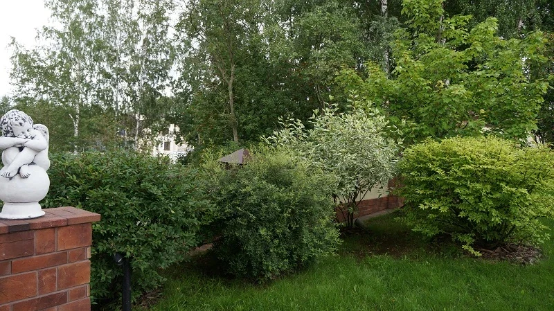 Классический стиль