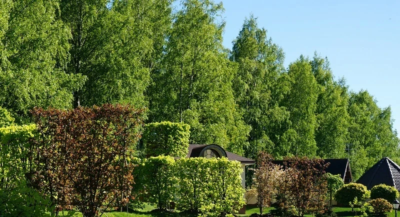 Классический стиль