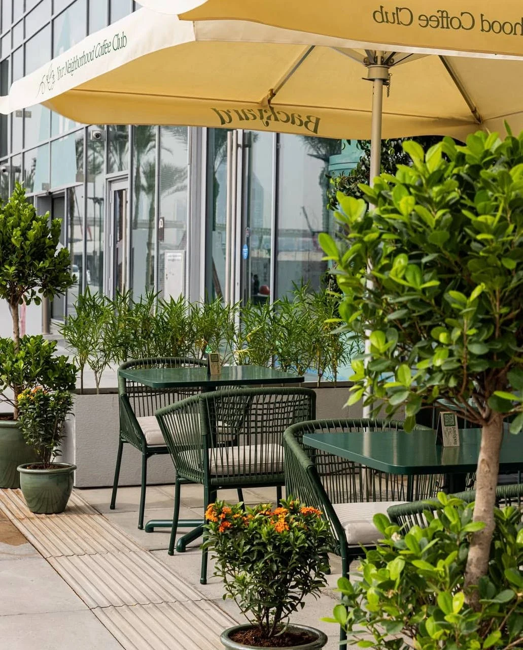 Филиал Backyard в Dubai