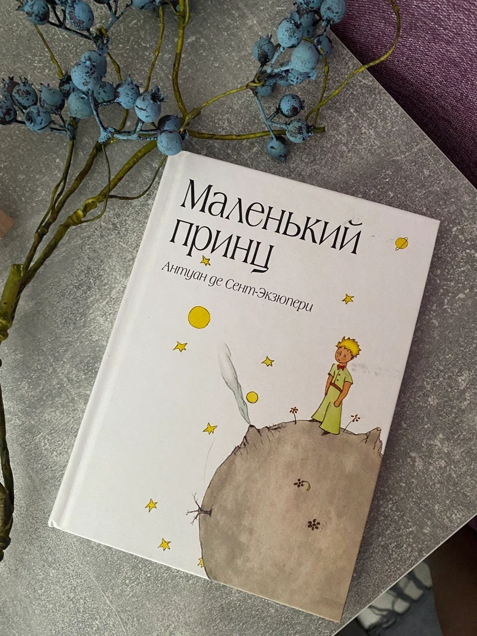Пулковское шоссе, ЖК «SALUT!», проект «Лунный»