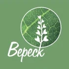 Вереск