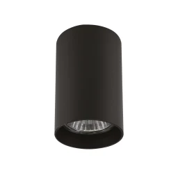 Накладной светильник Lightstar Rullo 214437