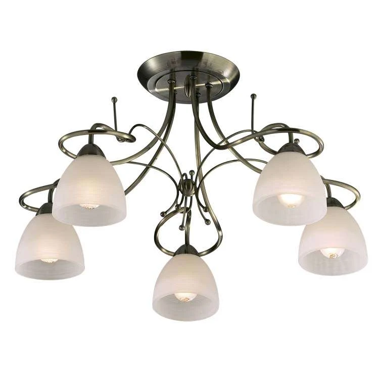 Потолочная люстра Odeon Light Kaena 2120/5C