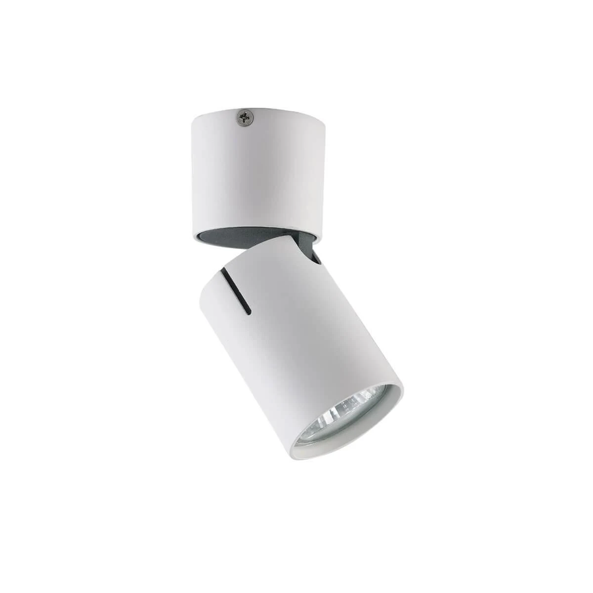 Накладной светильник Vele Luce Carrisi VL8061S21