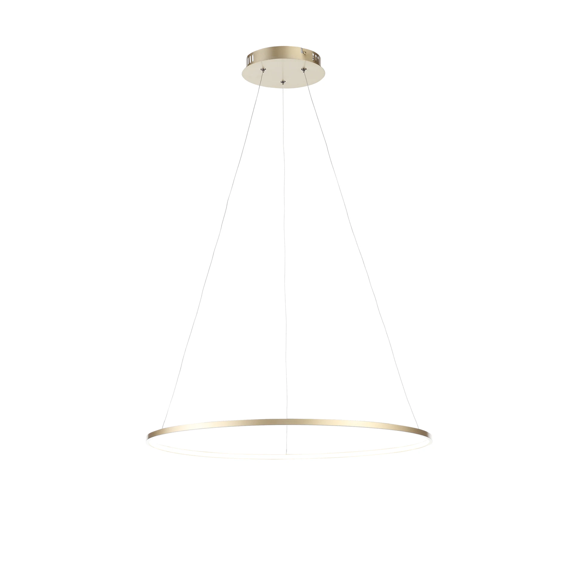 Подвесная люстра ST Luce Erto SL904.213.01