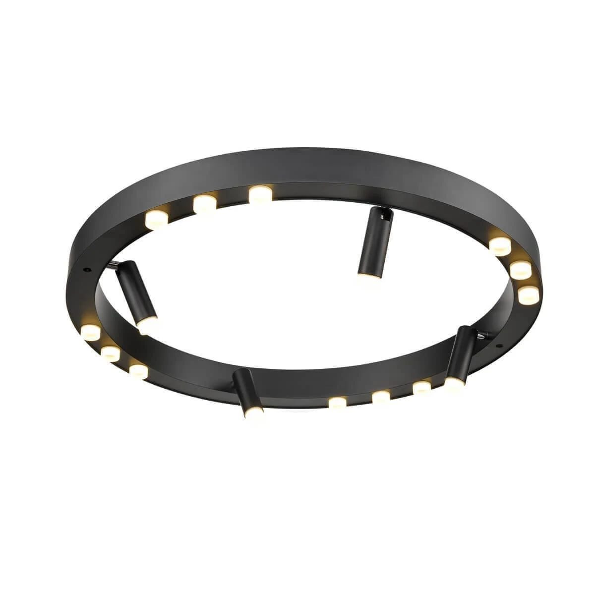 Потолочный светодиодный светильник Vele Luce Satellite VL7172L12