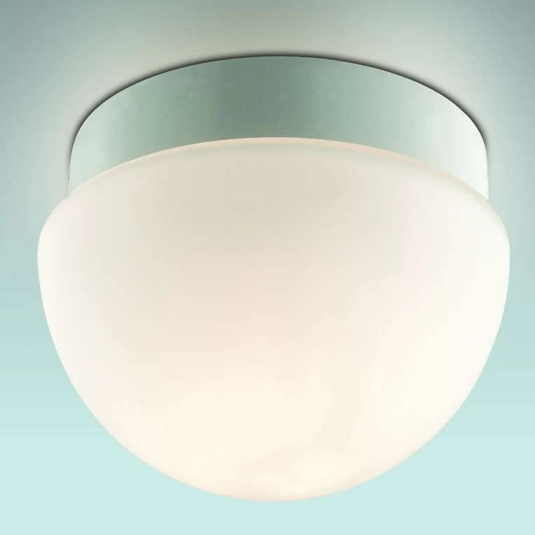 Светильник для ванной Odeon Light MINKAR 2443/1B
